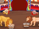 Lions de cirque